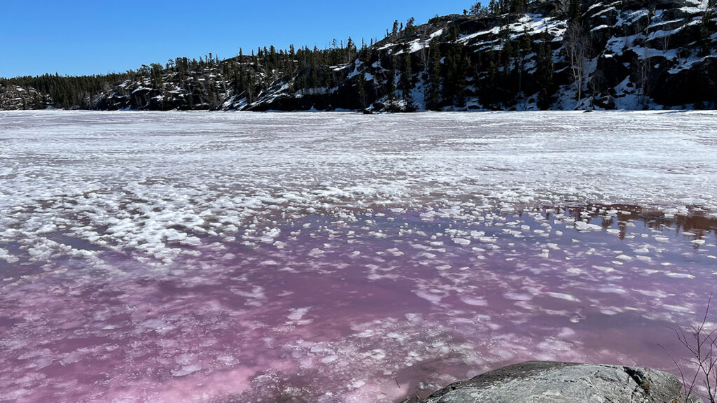A lake, seen from a rock on the shore, is mostly covered in ice but beginning to melt. The melting water is purple. On the other side of the lake, a rocky cliffside with evergreen trees is visible beneath a blue sky.