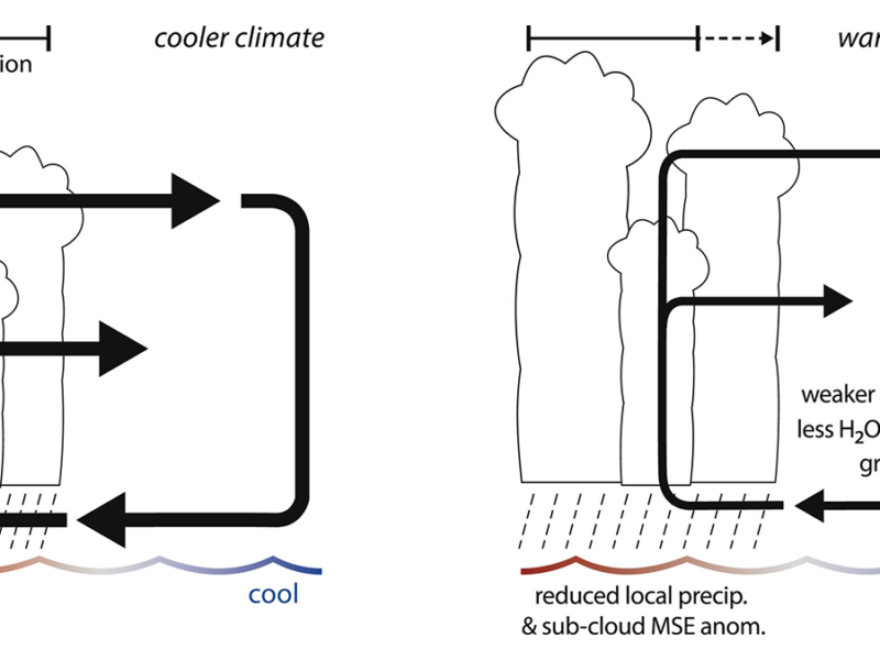 The “Wet-Gets-Wetter” Response to Climate Change Does Not Always Apply