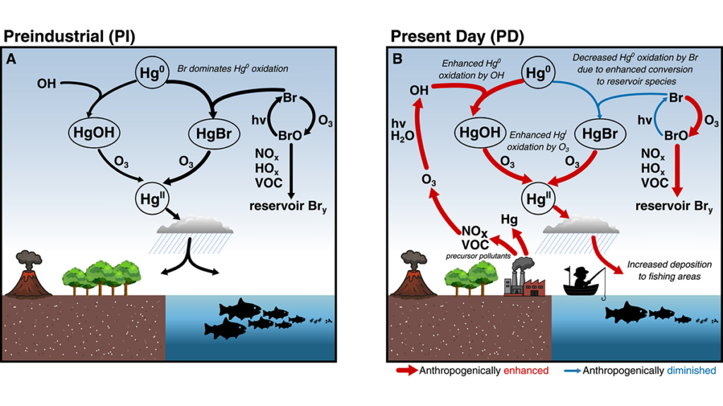 Diagrams from the article.