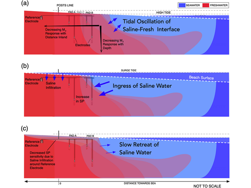 Tides Generate Detectable Electrical Signals in Coastal Aquifers