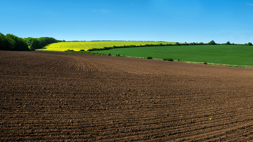 Photo of hilly farm land.