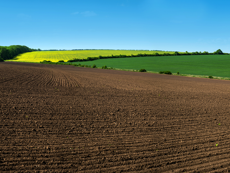 Rates of Mineral Dissolution from the Flask to Enhanced Weathering