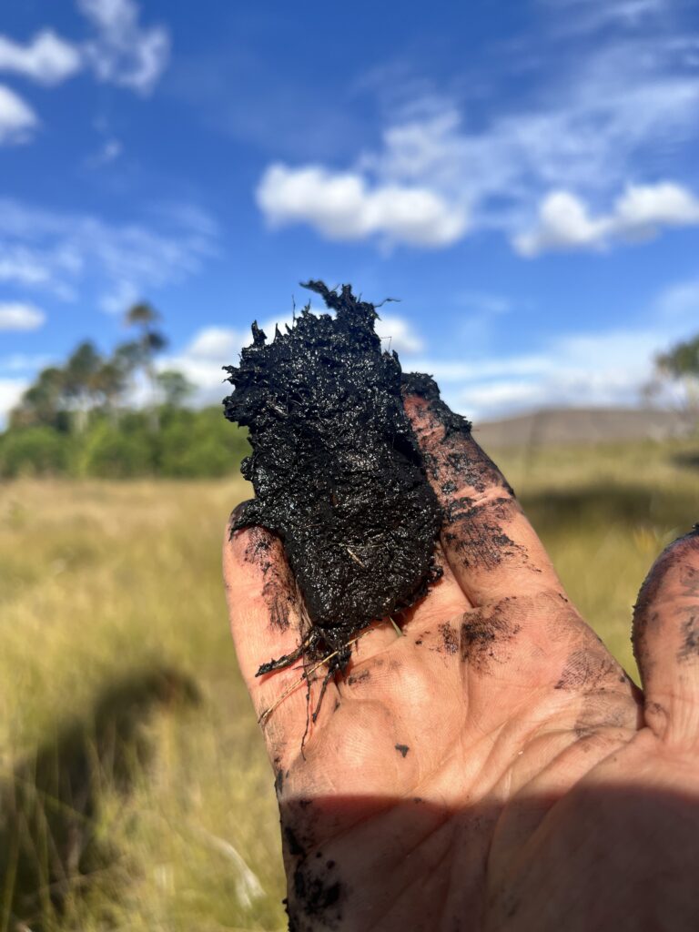 A hand is pictured holding wet, dark brown soil.