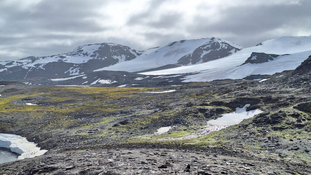 A landscape shows water and gray rocks and mosses in the foreground, with a snowy mountain and clouds in the distance.
