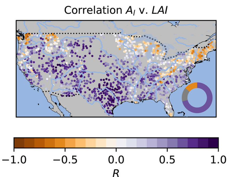 Trees Shed Their Leaves to Adapt to Droughts