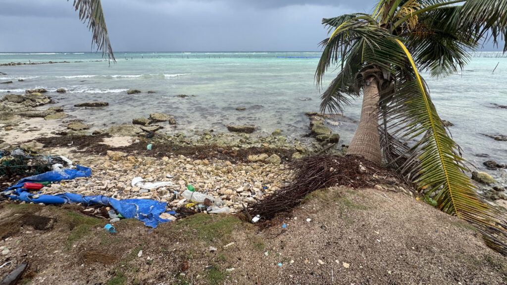 A squat palm tree stands beside an old blue tarp and other plastic debris littering a patch of rocky beach shoreline beside a stretch of pale blue ocean.