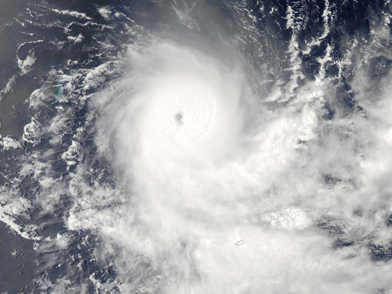 Tropopause Temperature Drives Tropical Cyclone Simulation Diversity