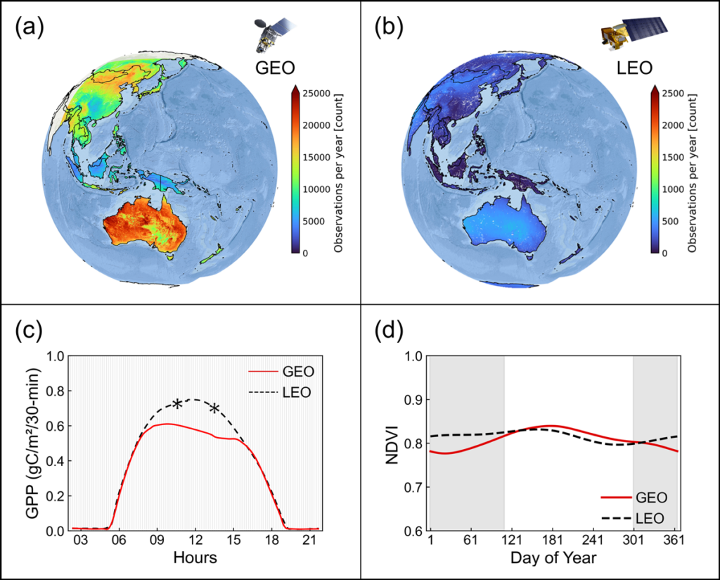 Four-panel figure showing representations of Earth superimposed with data depicting numbers of clear-day observations per year collected by the Himawari-8 satellite (top left) versus the Moderate Resolution Imaging Spectroradiometer (MODIS, top right). The bottom left panel is a 2-D data plot showing data on gross primary productivity observations collected by Himawari-8 and -9 (red curve) and by a MODIS sensor (dashed black curve). The bottom right panel is a 2-D data plot showing measurements of the normalized difference vegetation index collected by those satellites.