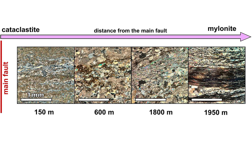 4 thin sections from the study.