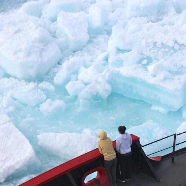 Arctic Winter Sea Ice Hits a Record Low, Again