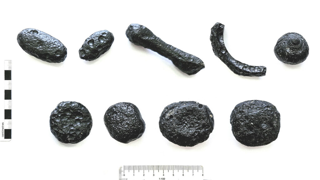 Nine black objects, ranging in shape from spherical to bone-like to curved, are seen against a white background and a ruler showing each is just a few centimeters across.
