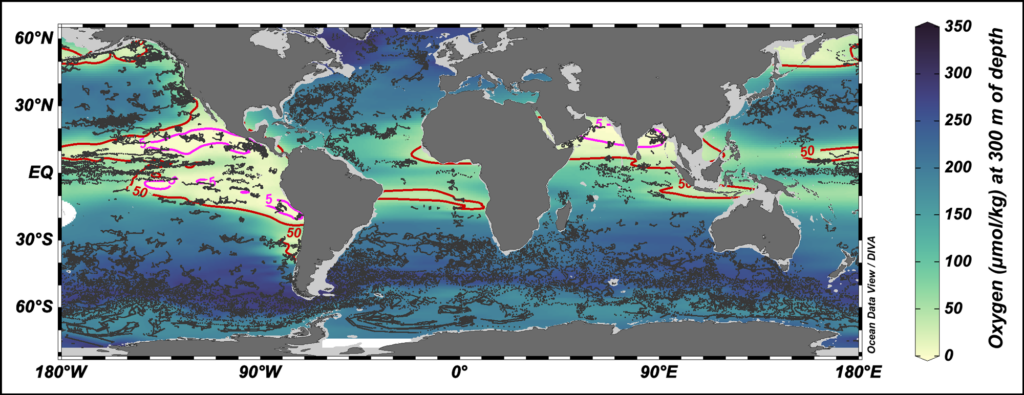 A global map depicts data on concentrations of dissolved oxygen in the ocean. Data are shown in shades from pale yellow (low) to green to dark blue (high). Areas of the ocean defined as oxygen minimum zones and oxygen deficient zones are indicated, respectively, by red and pink contours.
