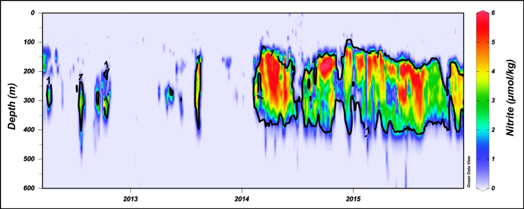 A data plot shows nitrite concentrations measured over time and a range of depths. Data are represented on a rainbow color scale from blue (low) to red (high).