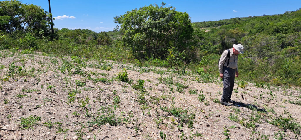 A researcher in a field of dirt looks down at the ground. Behind him is a lush, green landscape.