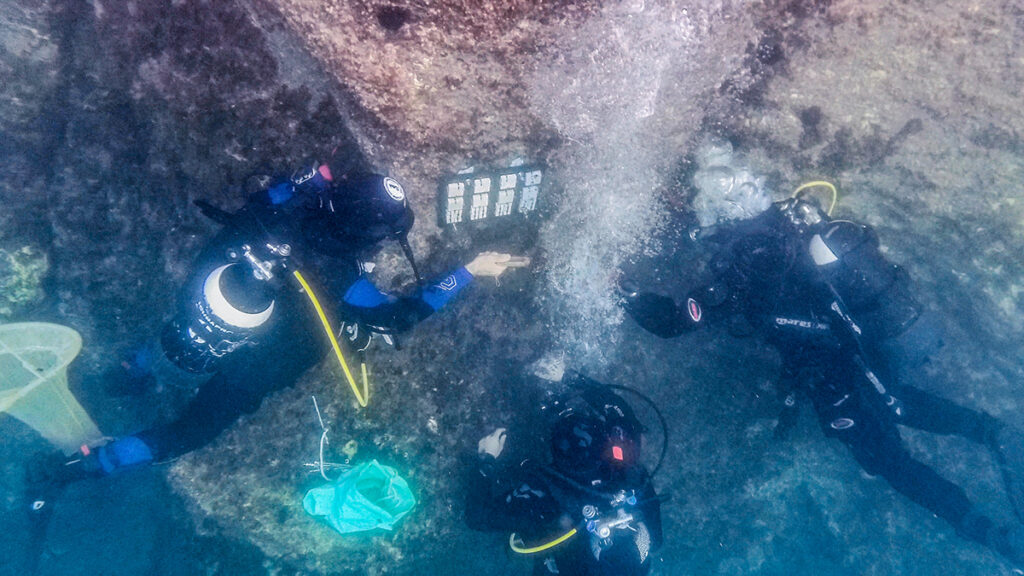 Three divers attach a grid of rock samples to a cliff underwater.