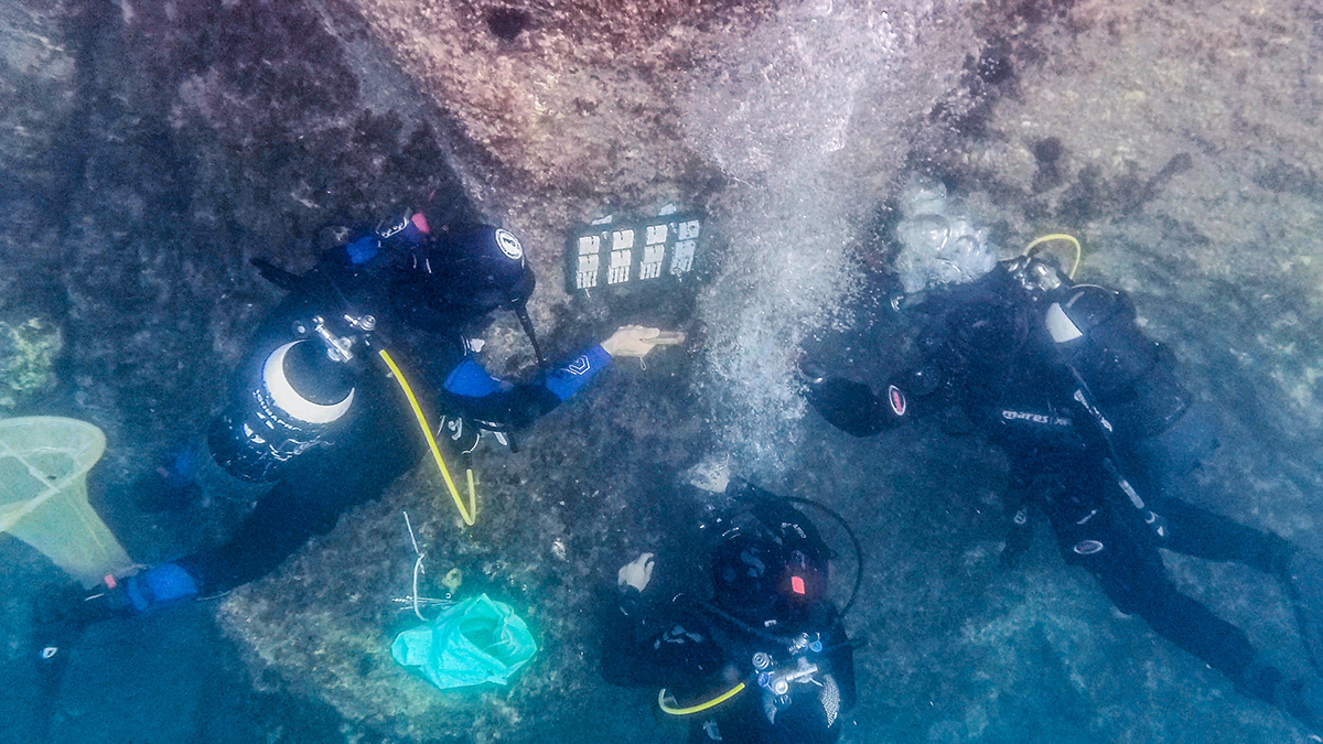 Three divers attach a grid of rock samples to a cliff underwater.