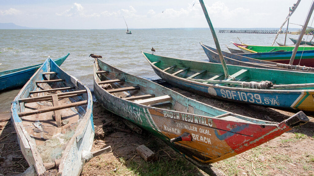 Several brightly painted but weatherworn wooden fishing boats are lined up beside a lake.
