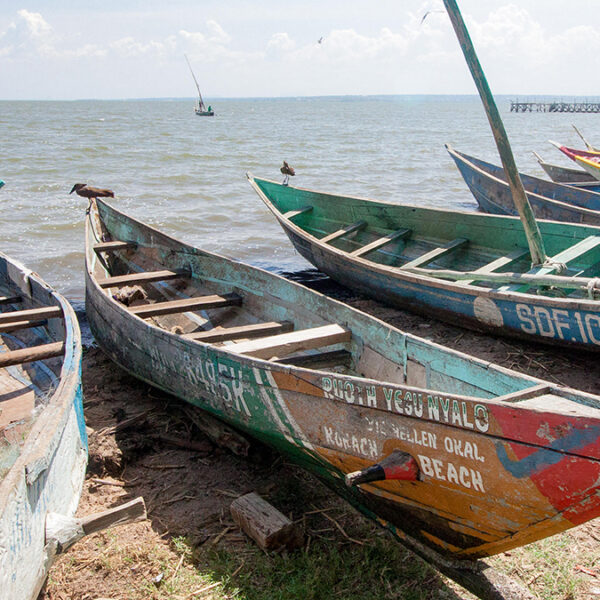 Poor Health and Systemic Inequity Fuel Environmental Harm