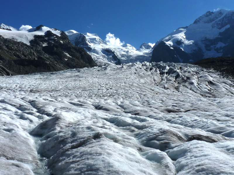 Choice of Glen’s n Leads to Differing Projections of Ice Sheet Mass Loss