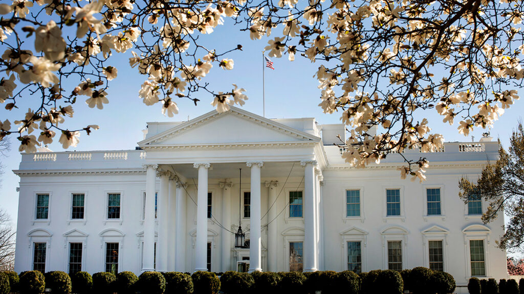 The White house is framed by dogwood tree blossoms in a photo taken from the front lawn.