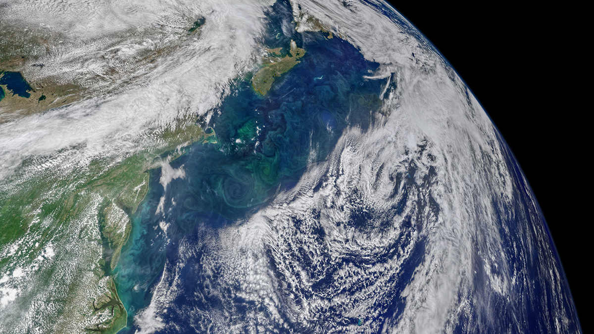 Lead remnants found in household dust