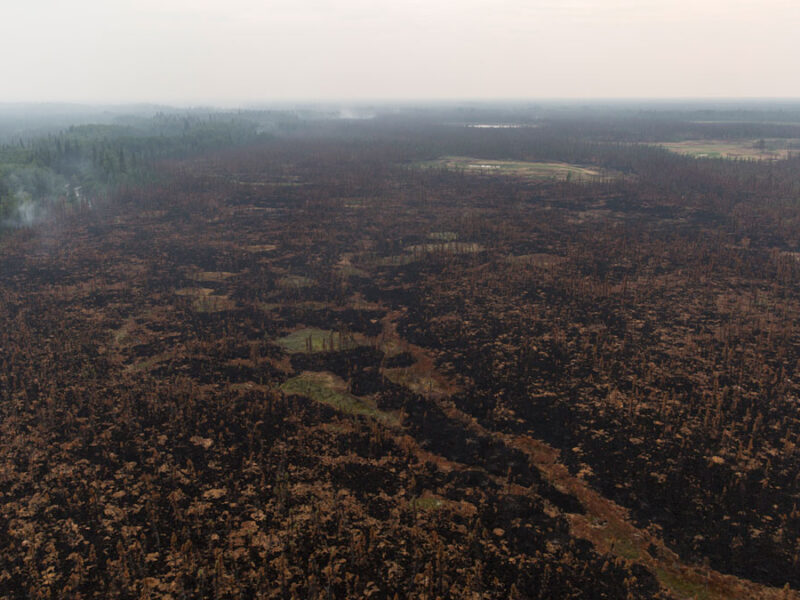 Alaska’s Wildfires Heat the Planet, but Canada’s Cool It