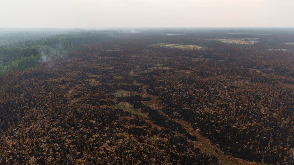 A huge, still-smoldering burn scar dominates an aerial image of a forest, with green forest still visible at right.