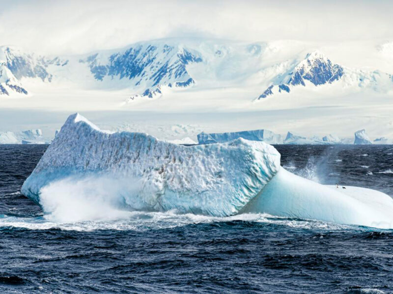 Tracing the Path of PFAS Across Antarctica