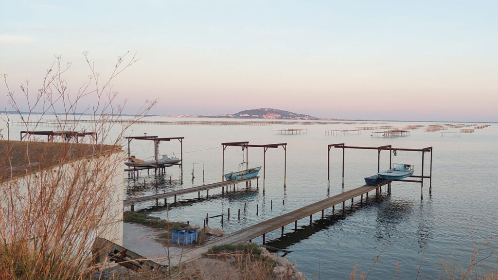 Four small docks overlook a waterfront. In the distance, wooden structures, shellfish farms, are visible in the water. The sky is pale.