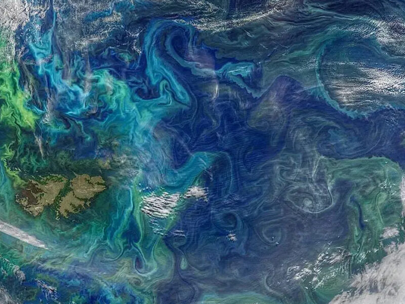 Eddy or Not: Do Eddies Actually Transport That Much Carbon?