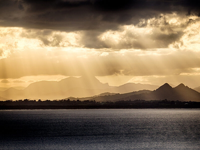 A Peculiar Polymer Paired with Sunlight Could Remove PFAS