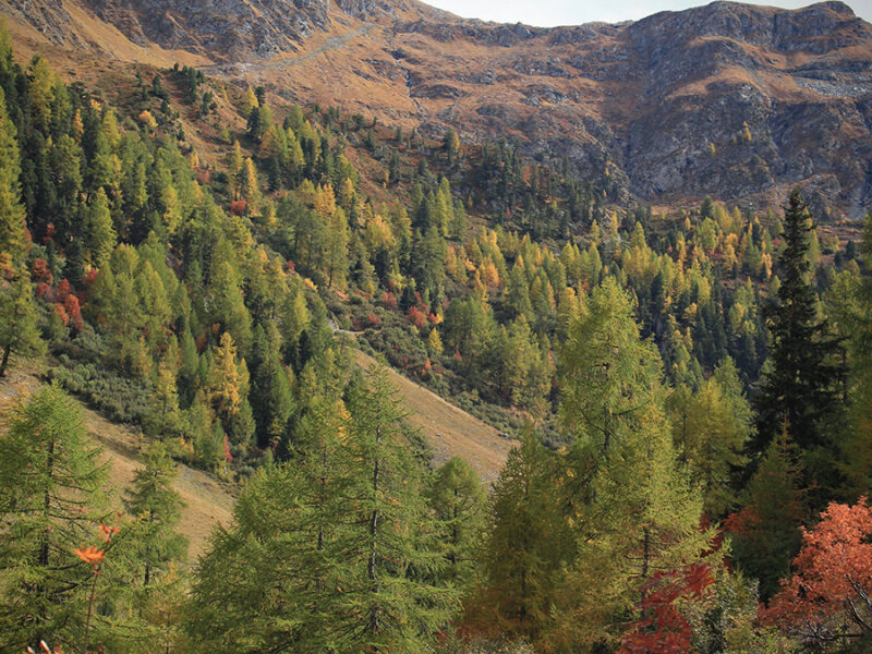 Antibiotic Resistance Might Get a Boost from Droughts