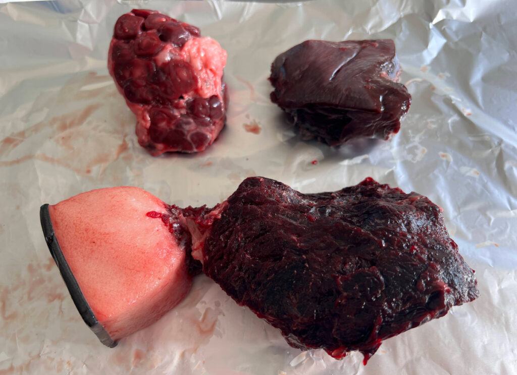 Three chunks of red and pink whale tissue on a white plastic surface