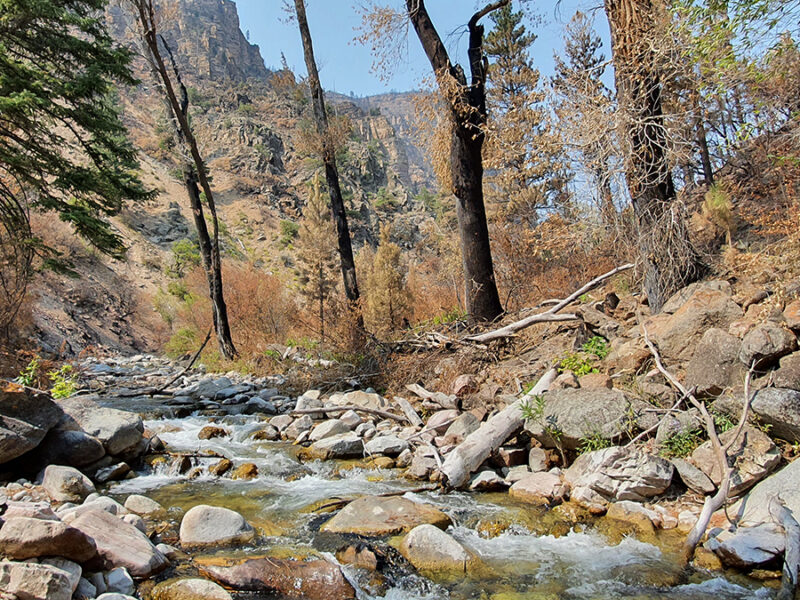 How Wildfires Worsen Flood Risk