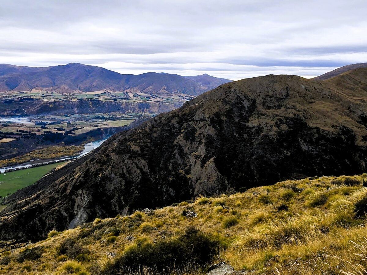 Here be landslides - typical landslide-prone terrain in New Zealand.