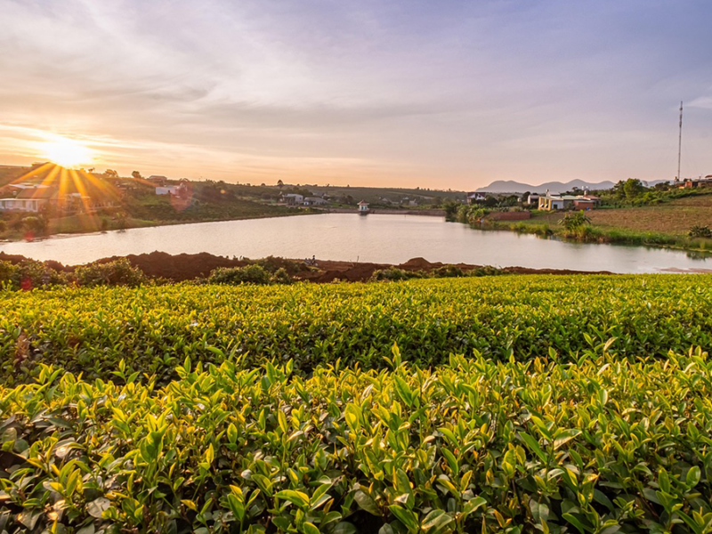 Managed Agriculture Hinders Predictability of Critical Zone Features