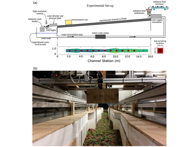 Small and Large Grains Move Differently in Water