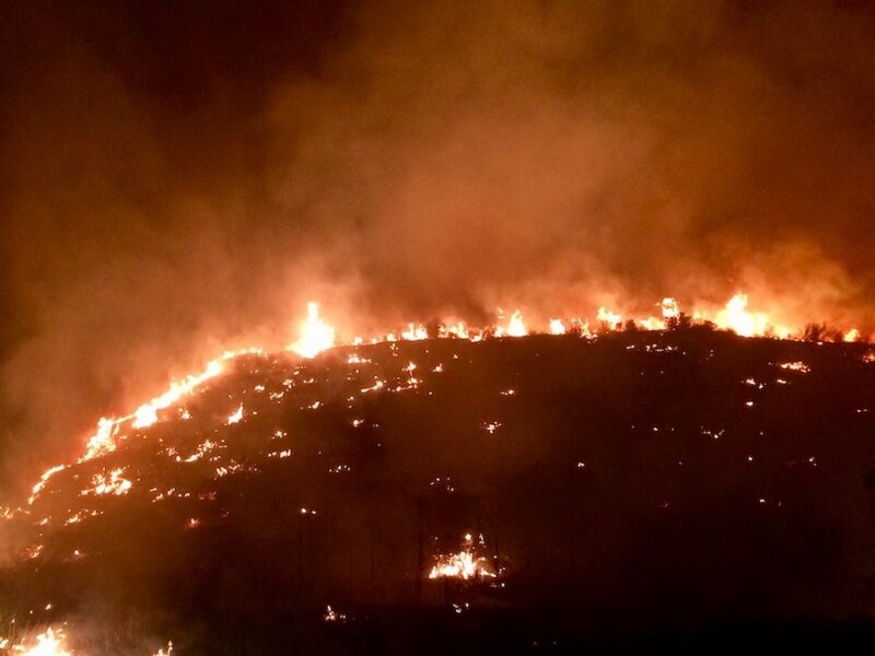 2026 Has Already Broken Climate Records. El Niño Could Break More.
