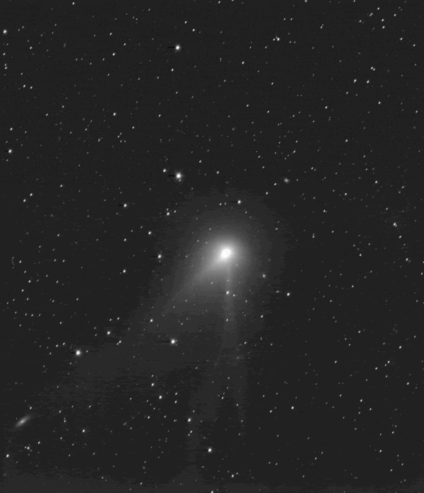 A bright, oval shape glows near the center of a black, star-filled sky as it moves diagonally toward the top right of the frame. It has a soft halo around it and a faint, wispy tail stretching downward. Countless tiny white stars dot the background.