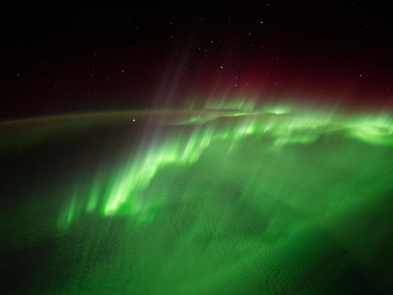 Undulations in Auroral Arcs at Plasmaspheric Plume Boundary