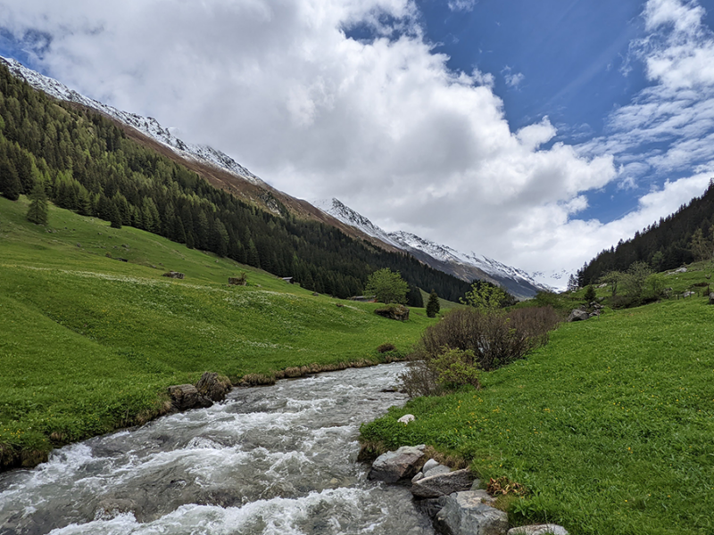 Tracing Water’s Hidden Journey Through the Earth’s Living Skin