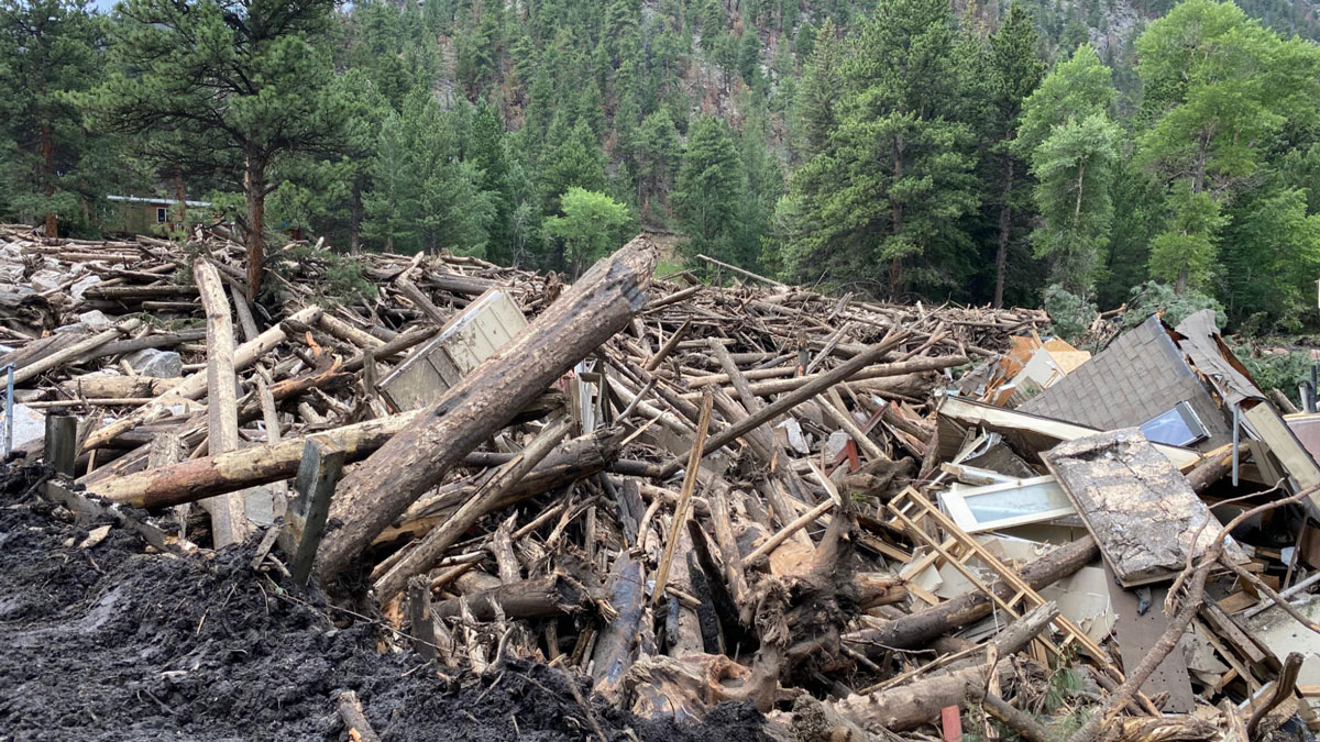 Debris, including downed trees and building materials, in a valley below a mountain.