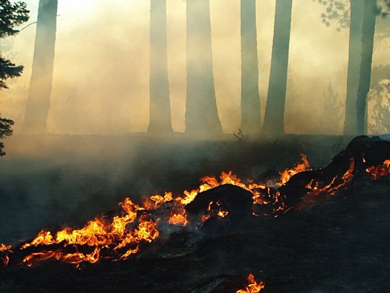 How Much Will Western Wildfires Worsen Under Warming?