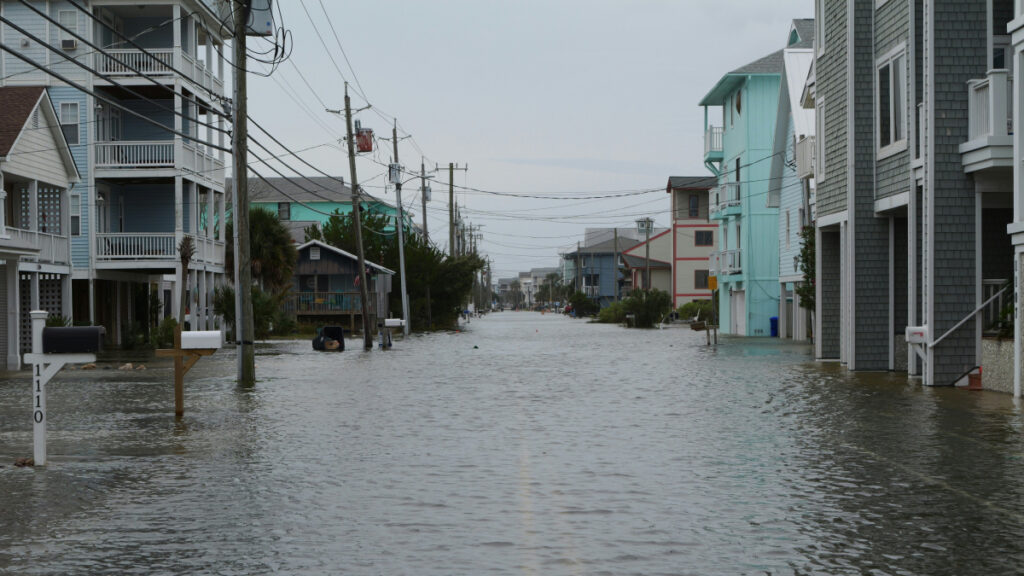 A residential street flooded during king tide.