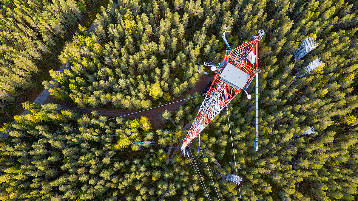 A red and white scaffolded tower is seen from above, poking far above a sea of trees below.