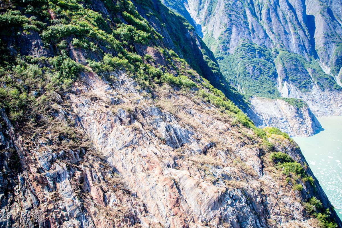 The 10 August 2025 landslide and tsunami at Tracy Arm fjord in Alaska