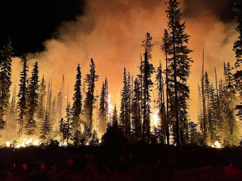 Most of the U.S. West Will Face Above-Normal Wildfire Risk This Summer