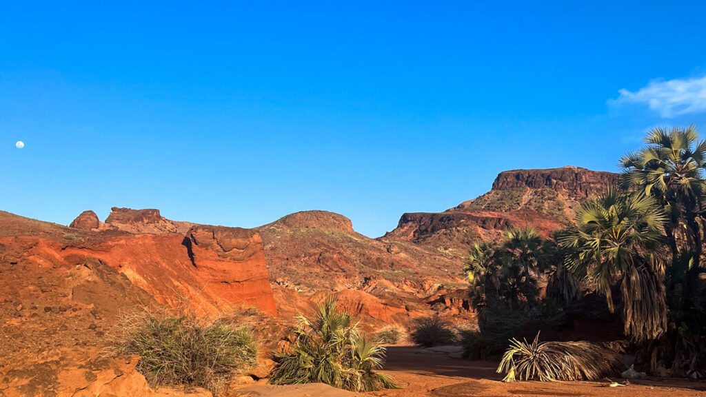 A mountainous desert on a clear day. Red-orange dirt and rocks dominate the near ground, along with palms and desert plants, with a clear blue sky and gibbous Moon above.