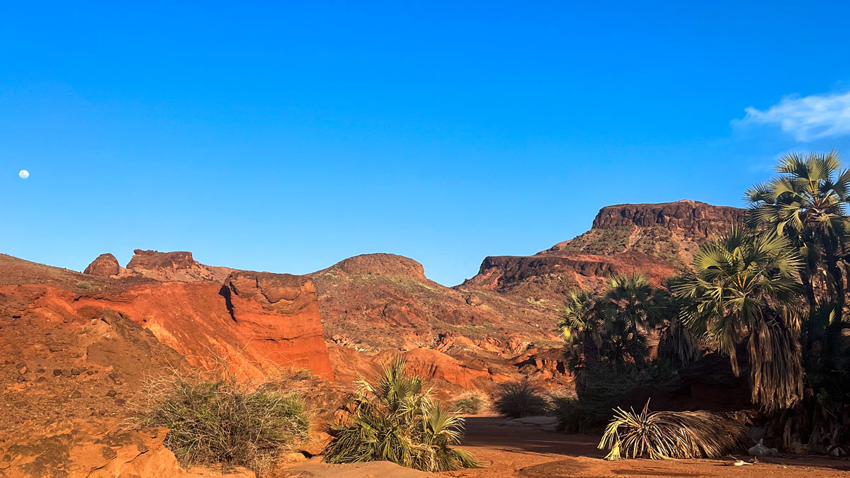 A mountainous desert on a clear day. Red-orange dirt and rocks dominate the near ground, along with palms and desert plants, with a clear blue sky and gibbous Moon above.