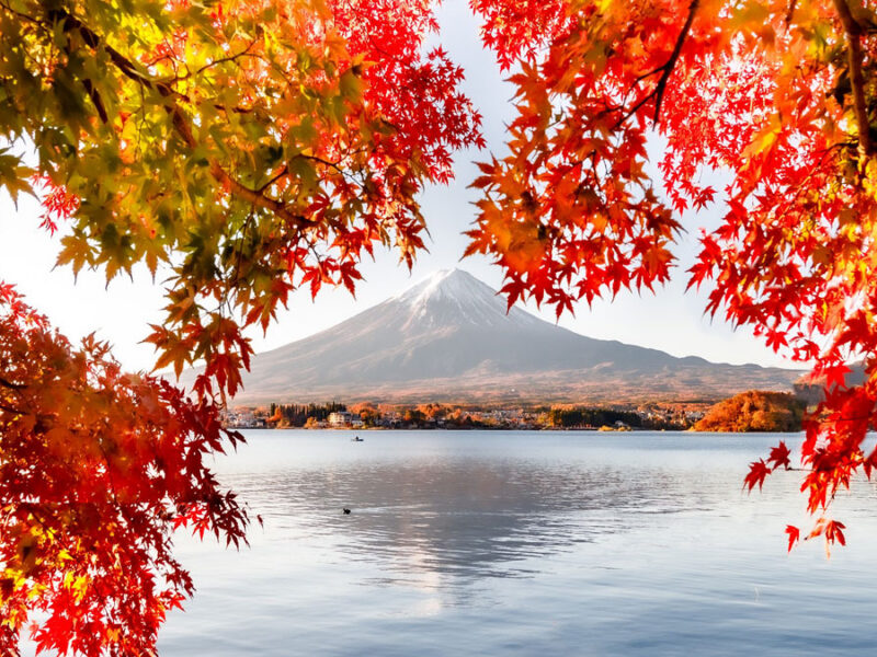 Heavy Rainfall Inflates Mount Fuji